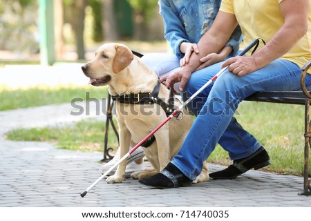 Young woman and blind man with guide dog sitting on bench in park