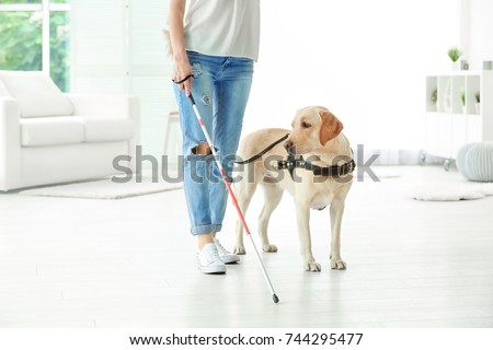 Blind woman with guide dog at home