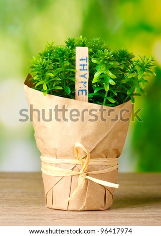 thyme herb plant in pot with beautiful paper decor on wooden table on green background
