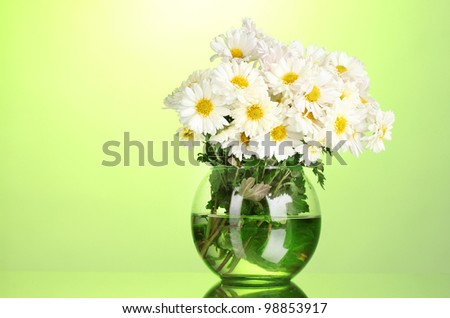 beautiful bouquet of daisies in vase on green background