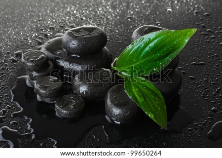 Spa stones with drops and green leaves on grey background
