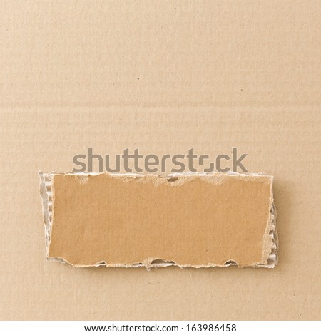 Torn piece of cardboard on cardboard background. Square format.