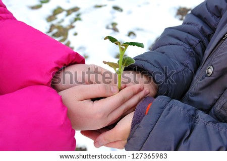 hands of  boy and girl holding green sprout
