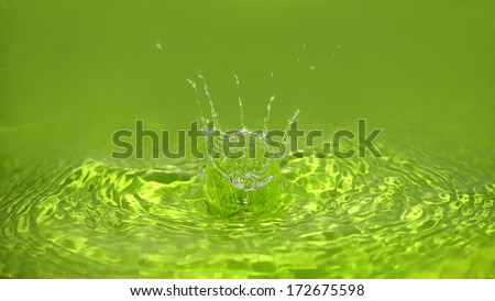Green Water Drop Splash