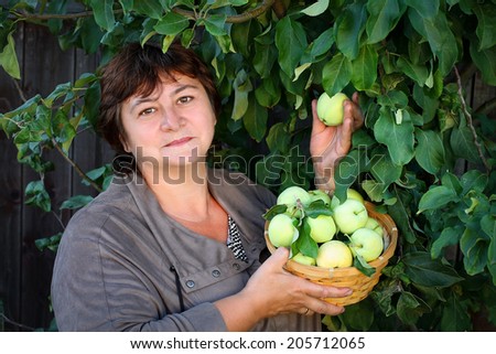 Woman collecting apples in basket