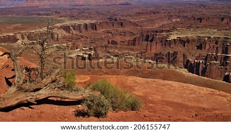 Red Desert, Canyon lands National Park, Utah, USA