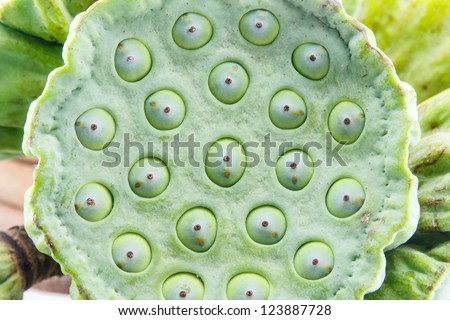 Lotus seed in pod