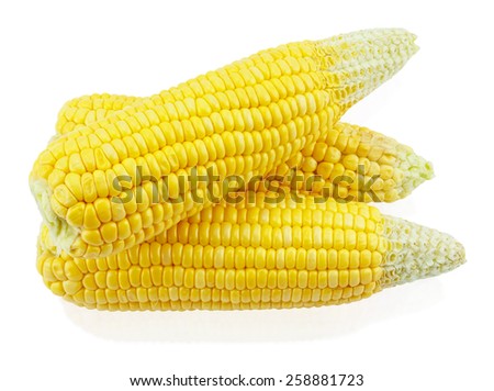 An ear of corn isolated on a white background,picture saved with clipping path