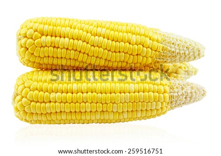 An ear of corn isolated on a white background,picture saved with clipping path