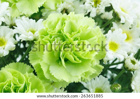 white and green flowers background