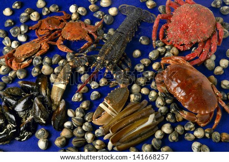 Variety of sea food with fresh lobster, crab, clam, mussel still life