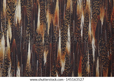 Feathers abstract background horizontal copy space brown tone