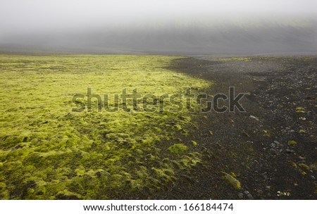 Volcanic moss landscape in Lakagigar, Iceland South area