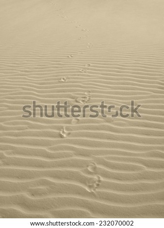 Dunes landscape with clues in Lencois Maranhenses. Brazil. Vertical format