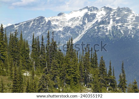 Whistler landscape with forest and mountains. British Columbia. Canada. Horizontal