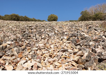 Landscape with rocky ground and trees in Cabaneros, Spain. Horizontal