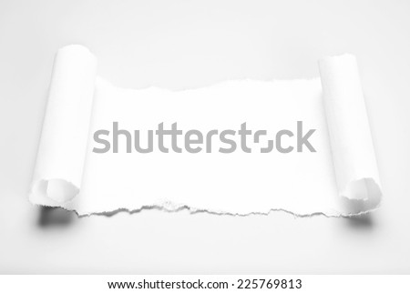 Blank paper scrap in scroll shape