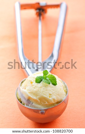 Apricot ice cream scoop