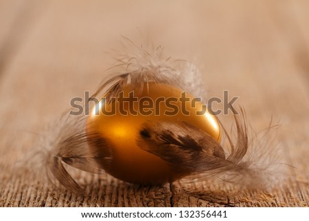 Golden brown egg with feathers
