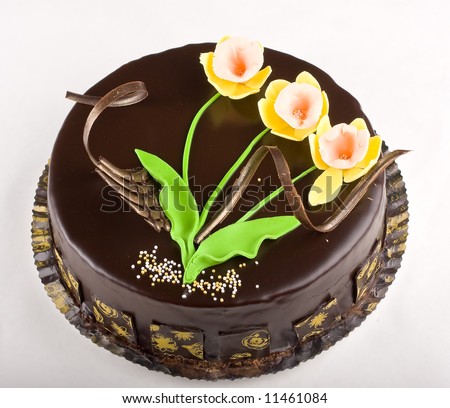 chocolate cake decorations. chocolate cake isolated on