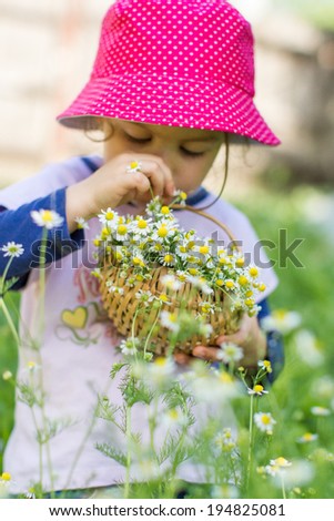 Sweet little girl pick a flowers in a wild meadow with daisies