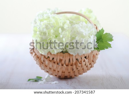 White hydrangea flowers on rustic wooden basket