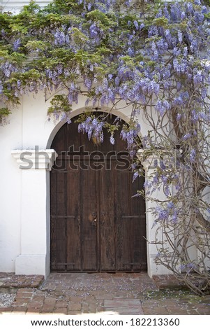 Mission Door with Wisteria Flowers