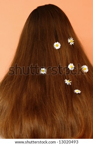 Brunette´s  hair with white daisy