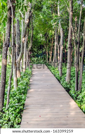Wood path way among the forest, Thailand