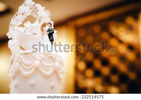 Close up of couple cartooning on big wedding cake.
