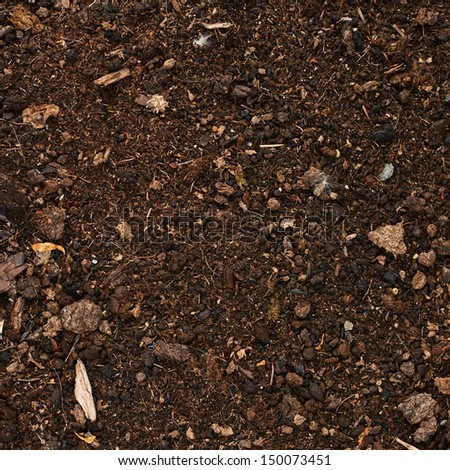 Earth ground covered with compost mulch fragment as a texture background