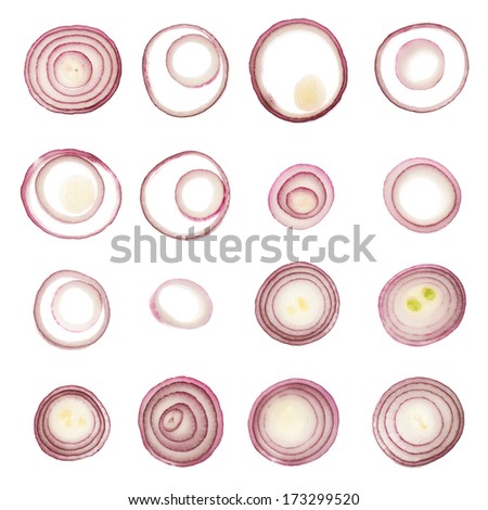 Red Onion Rings Isolated Over White Background, Set Of Sixteen, View Above
