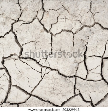 Dried and cracked mud soil fragment as a background texture