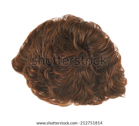 Open wave hair wig isolated over the white background