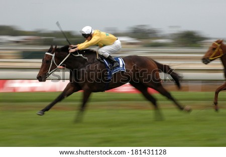 Fast motion image of a thoroughbred race horse at full speed