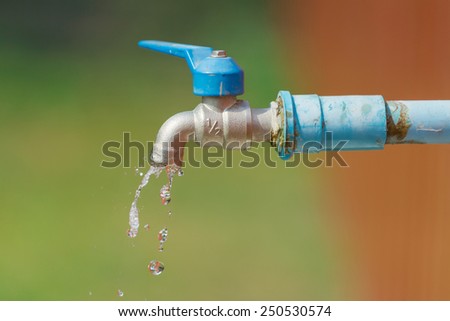 Water valve on the yard.
