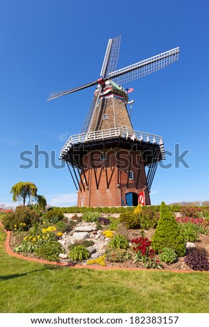 Authentic wooden windmill in Holland Michigan is surrounded by shrubs and flowers in the early spring season
