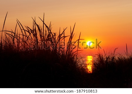 Marram Grass Silhouette at Sunset. Beach grasses are shown in silhouette with a Lake Michigan sunset in the background. Ludington State Park, Michigan