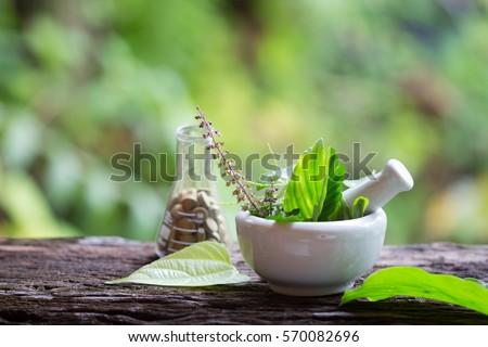 Alternative health care fresh herbal plant  and herbal pill in Erlenmeyer flask with mortar on old rustic wooden background over green bokeh background