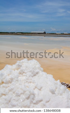 landscape of salt field in thailand