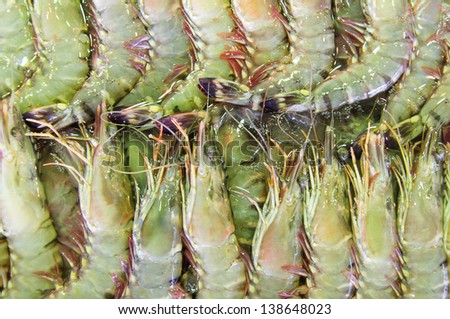 frozen shrimp at seafood market