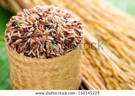 various Unpolished Rice in bamboo basketry  and rice spike