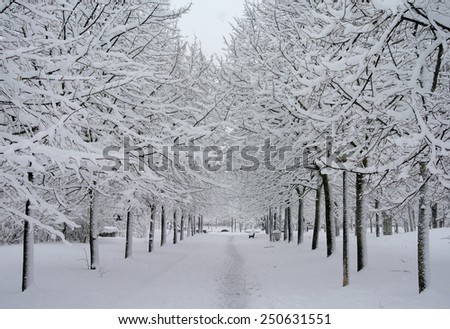 VITORIA-GASTEIZ, SPAIN - FEBRUARY 6: View of the San Martin park in Vitoria in a snowy day. It is located in the San Martin neighborhood.  February 6, 2015 in Vitoria Gasteiz, Basque Country, Spain
