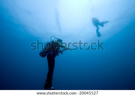 Divers ascending on an anchor line from the deep
