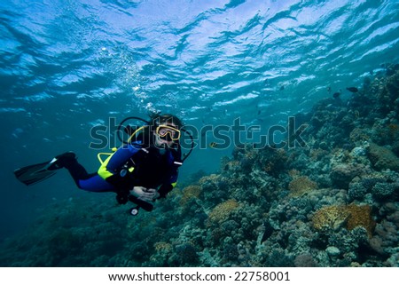 Female diver floating over a beautiful coral reef in the Red Sea, Egypt