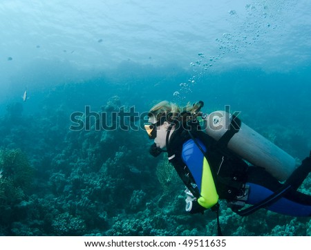Female diver in the clear waters of the Red Sea, Egypt
