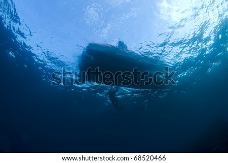 Diver and a boat at the sea surface in the Red Sea, Egypt