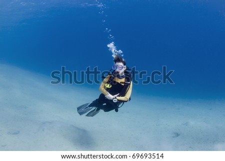 Female scuba dive over bright white sand in the Red Sea, Egypt