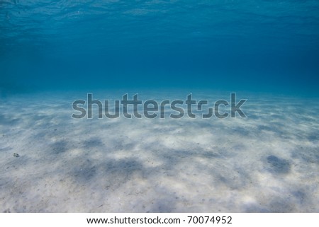 Tropical underwater scene in shallow water with white sand and a blue sea