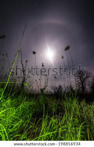 UfO ray of the unusual moon - night mystical landscape background